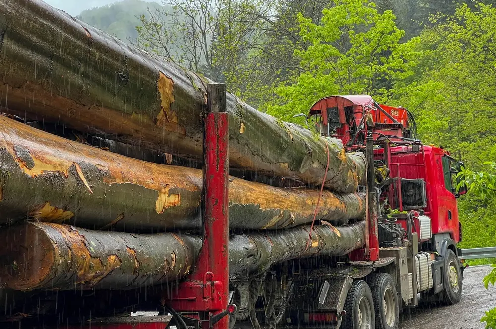 débardage foret