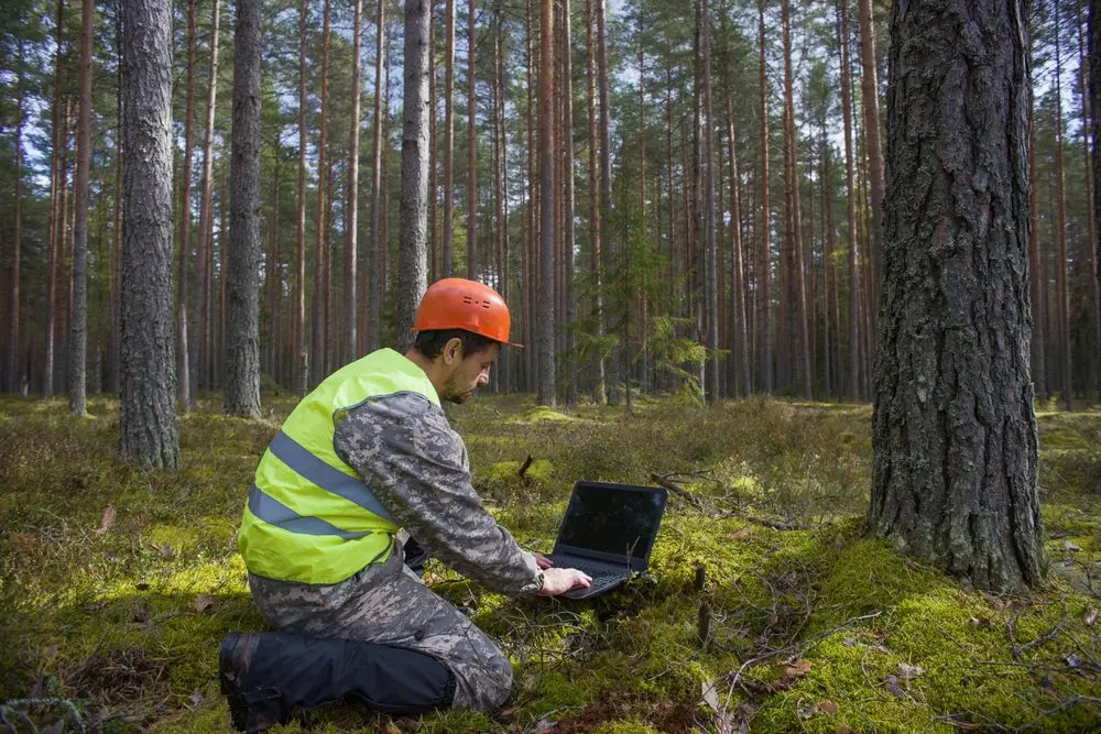 ingénieur forestier