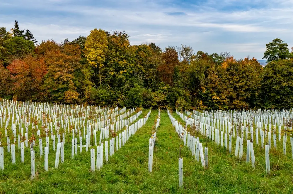 adaptation écologique